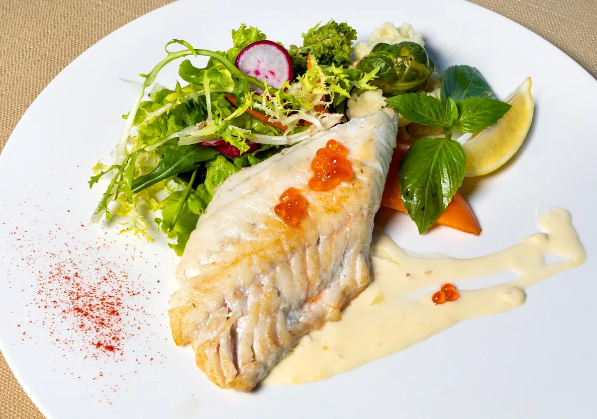 Barramundi