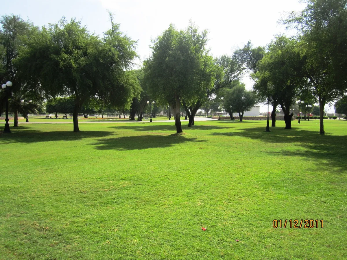 Hili Archaeological Park