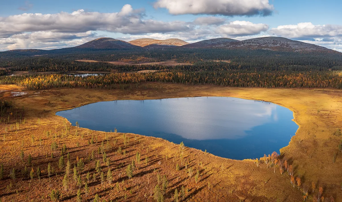 Pallas Fell