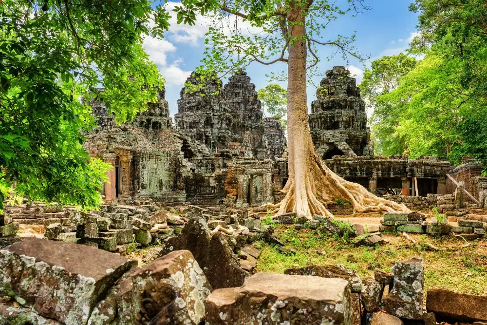 Ta Prohm