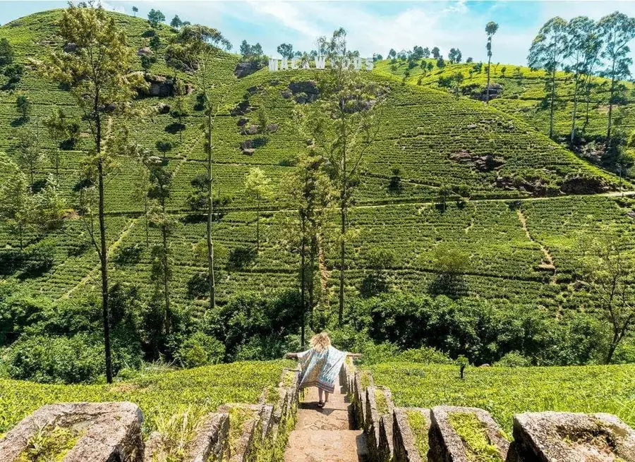 Nuwara Eliya