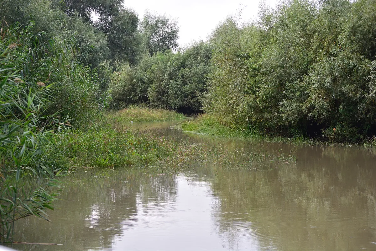 Danube Delta