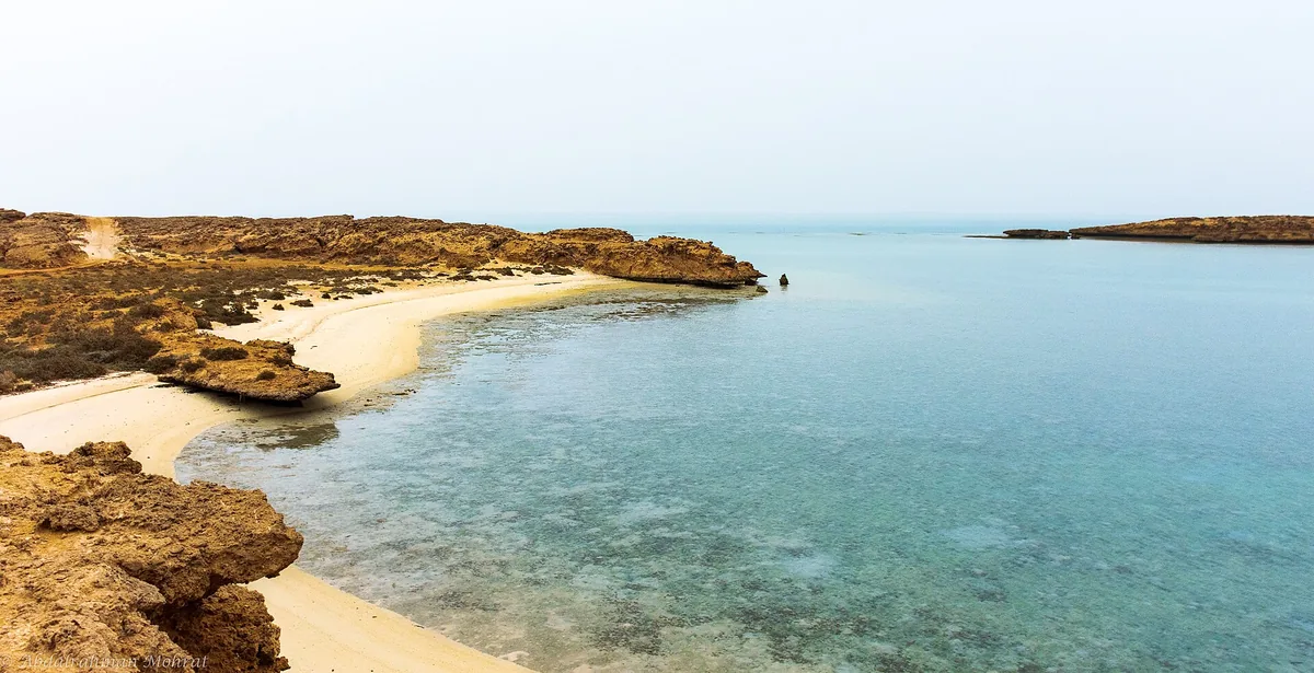 Farasan Island Marine Sanctuary